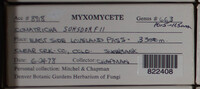 Image Associated With the Occurence